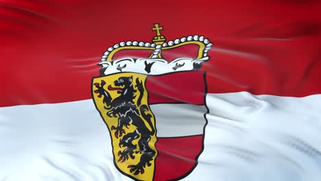 salzburg (state of austria) flag waving in the wind with highly detailed fabric texture. seamless loop