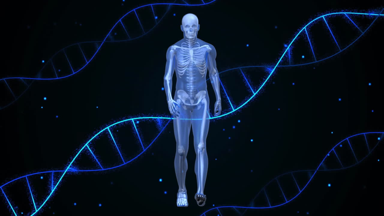 dna ストレンドのアニメーション データ処理 人間の歩き方