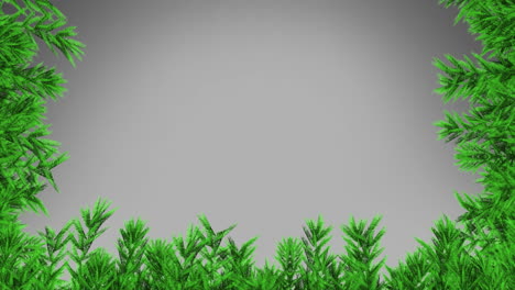 animation of fir trees branches over white background