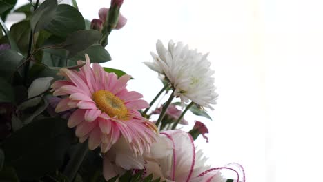 primer plano de la flor de aster de china en ramo brillante, pétalos de rosa con centro amarillo