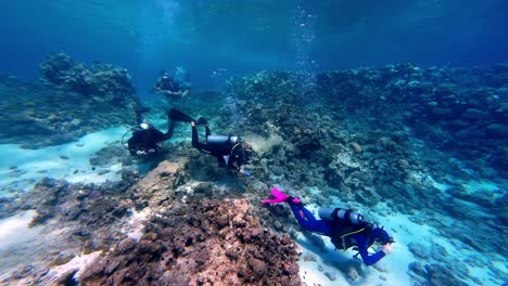 group of scuba divers explore a vibrant coral reef in clear blue water, with sunlight filtering down from the surface, illuminating the diverse marine life and colorful coral formations