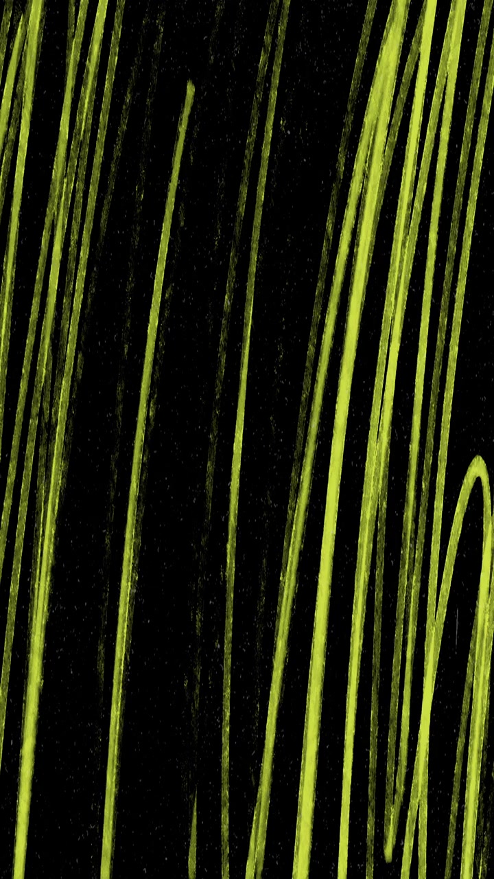 Sfondo Astratto con Pennellate Colorate Animate su Texture Nera