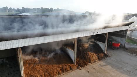 silage producing steam in barn