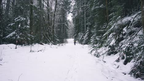 Frozen-Sproat-Lake-on-Vancouver-Island,-Canada