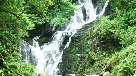 cascade in the forest