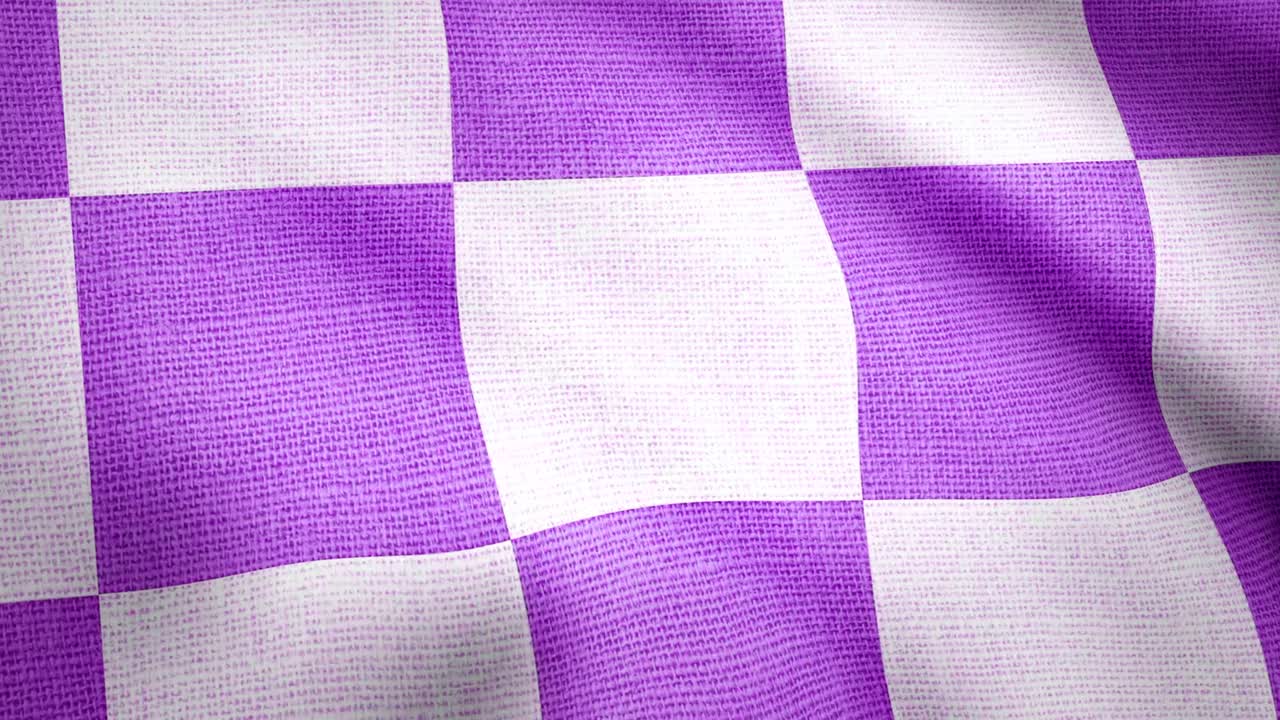 보라색과 색의 체크 된 직물