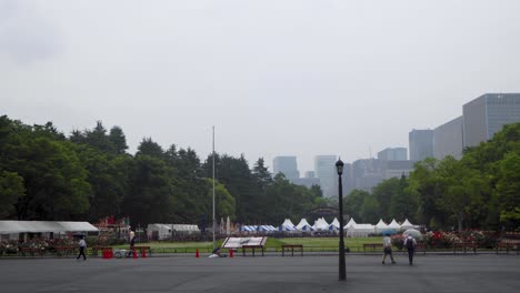 東京最美麗的景色