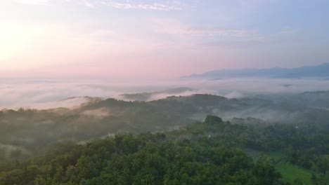 Vista-Panorámica-De-La-Campiña-Indonesia-En-La-Niebla-De-La-Madrugada