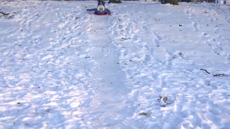 a girl on a snow hill, one goes down on an ice sled