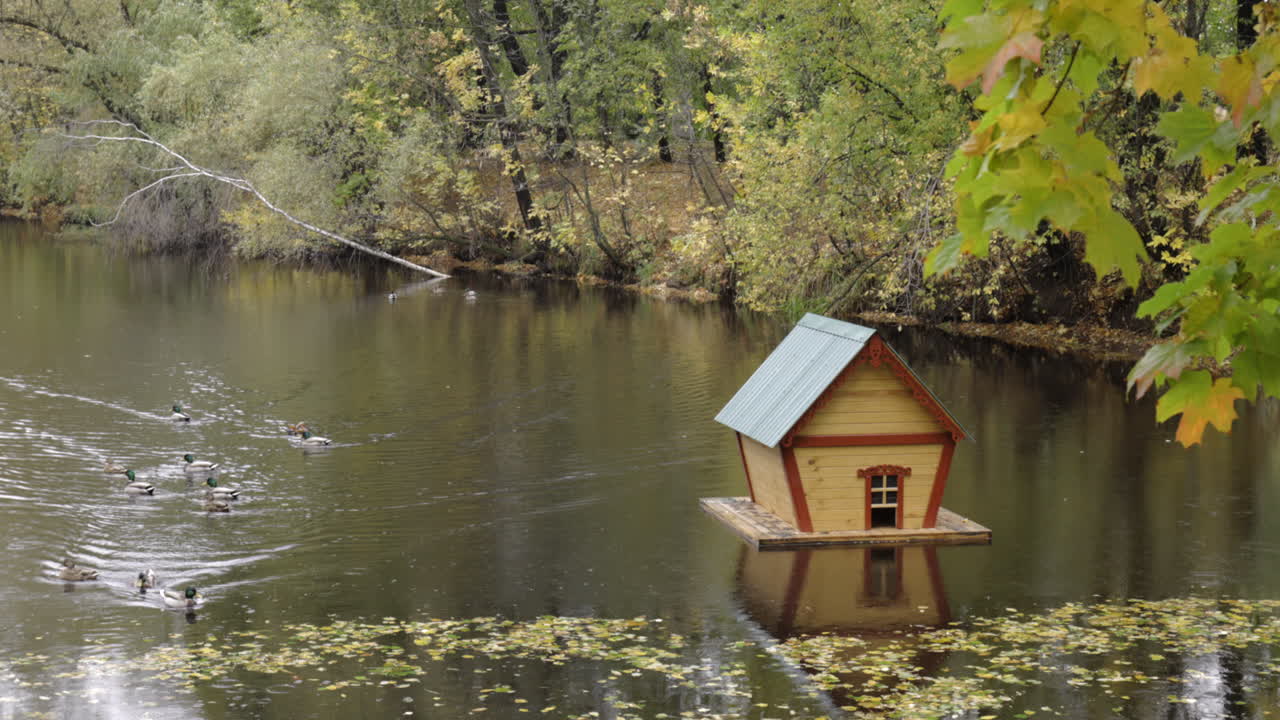 hermoso refugio de madera para aves acuáticas en un estanque en otoño
