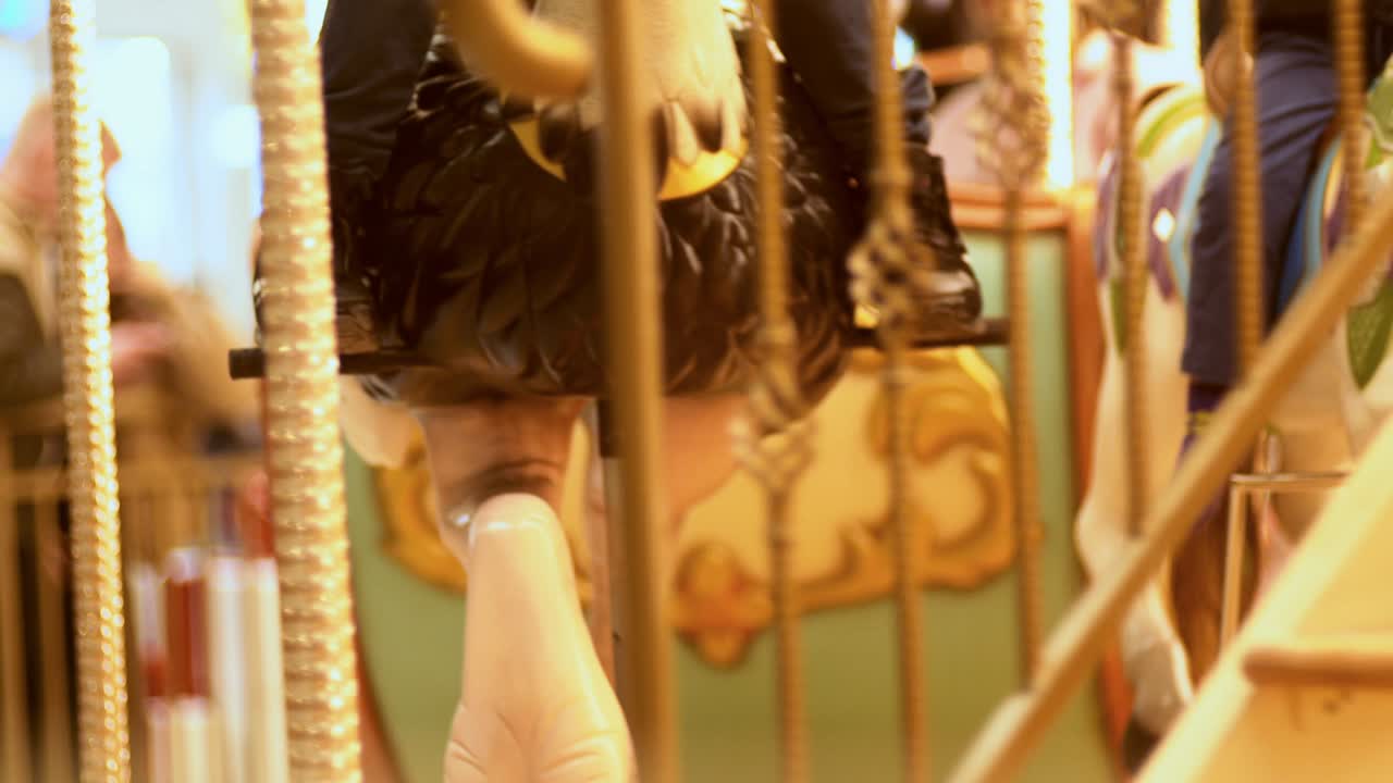 어린이 놀이 공원, 말과 함께 카루셀, 어린이 명소