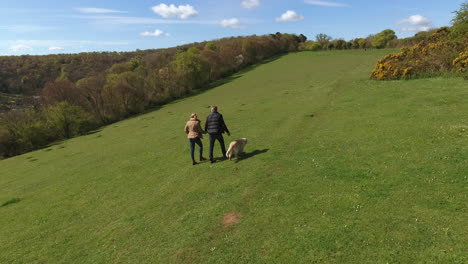 Toma-Aérea-De-La-Pareja-Madura-Y-El-Perro-A-Caminar-En-El-Campo