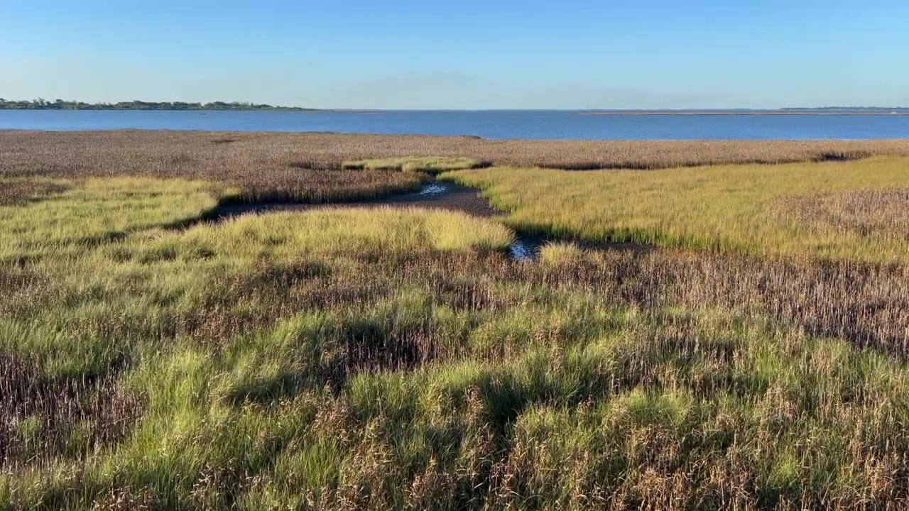 Static daytime view of marsh grasses and water channels on Ilha da Polvora with Lagoa dos Patos in the distance.