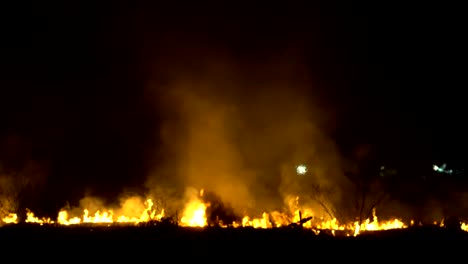 wildfire line on hill at night. forest fire will destroy everything. climate change