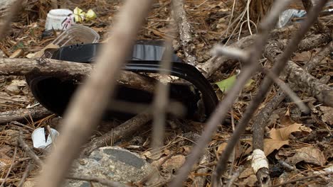 Slide-past-trash-and-litter-on-a-forest-floor