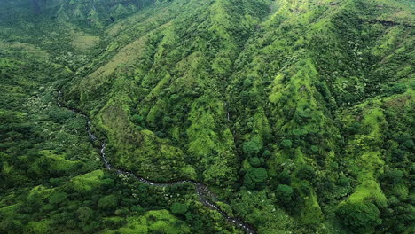 aerial view of lush tropical mountains