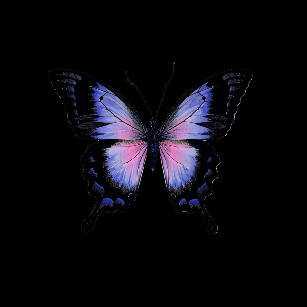 Vintage fluttering butterfly animation isolated asset, transparent 4K video, alpha channel, ProRes