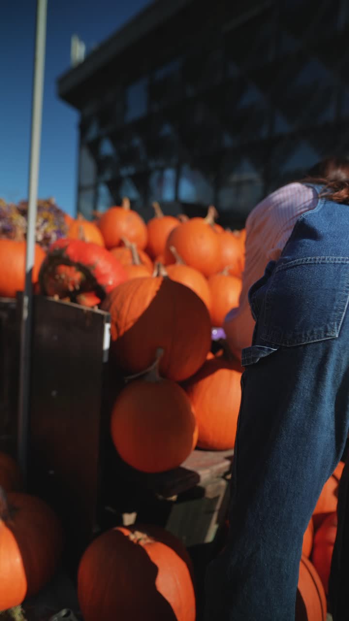 농장 에서 호박 을 수확 하는 여자