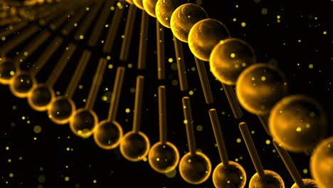 animación 3d de hebras de adn de color dorado giratorio con partículas flotantes sobre fondo negro