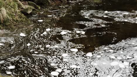 swirling bubbles of white foam float slowly on the surface of flat water in a scottish river in a hypnotic, constantly changing pattern of organic shapes