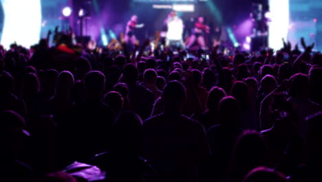 energetic concert crowd