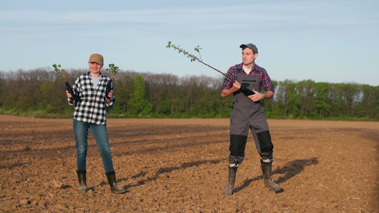 Due persone che piantano alberi in un campo