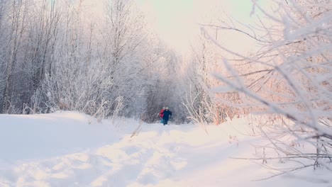 people walking in a snowy forest