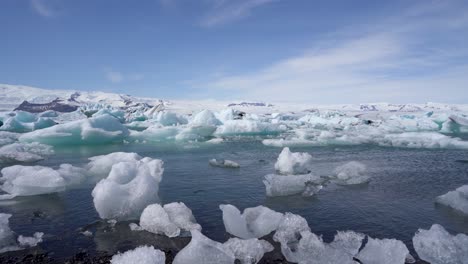 Icy-landscape-of-Jökulsárlón-Glacier-Lagoon-in-Iceland-with-vivid-blue-icebergs-floating,-clear-skies