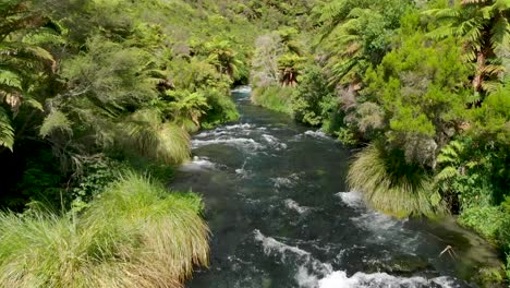 Flying-low-upstream-of-pristine-clear-fresh-water-creek-in-tropical-lush-forrest,-New-Zealand