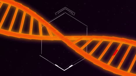 Animación-De-Cadena-De-ADN-Sobre-Hexágono-Sobre-Fondo-Negro.