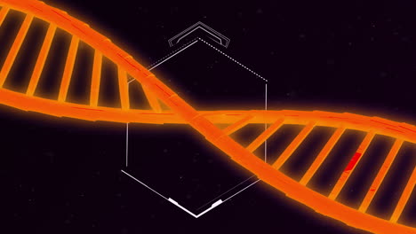 animation of dna strand over hexagon on black background