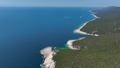 forestland and rocky shores on dugi otok in croatia. aerial drone shot