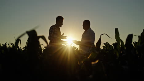 farmers discussing in cornfield at sunset