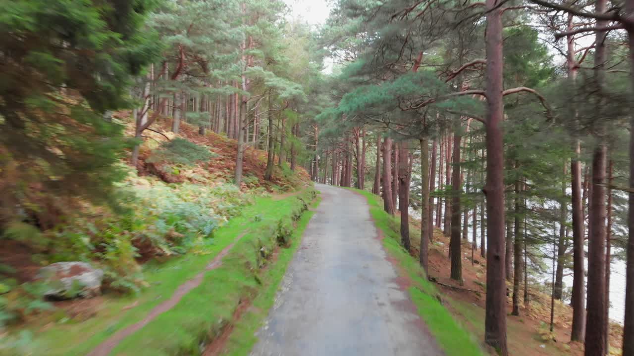 Flying over a road in a forest with a view on a lake in Ireland