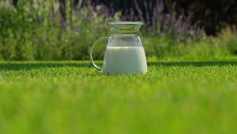 glass jug of milk in a garden