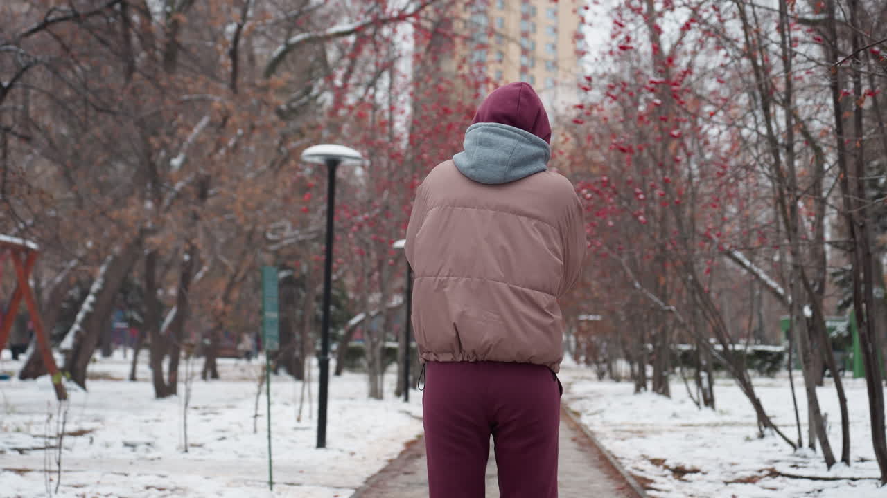 겨울 공원의 눈 인 길에서 혼자 산책하는 사람의 뒷면, 높은 벌거벗은 나무와 어져 있는 은 열매가 길을 가로지르고, 멀리 떨어진 건물과 램프 포스트가 있습니다.