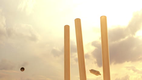 le cricket est un sport d'équipe pour deux équipes de onze joueurs chacune. une partie formelle de cricket peut durer de l'après-midi à plusieurs jours. populaire dans la culture britannique.