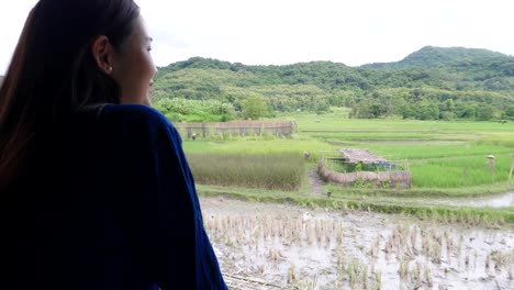 woman looking at a rice paddy landscape