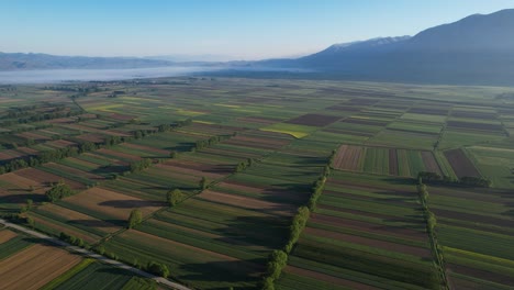 Die-Farbpalette-Des-Frühlings:-Wunderschöne-Felder-Mit-Farbenfrohen-Landwirtschaftlichen-Parzellen,-Getaucht-In-Die-Goldenen-Strahlen-Der-Morgensonne