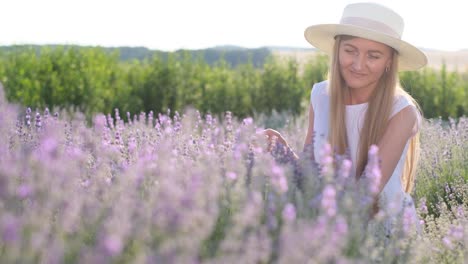 A Beautiful Young Woman in a White Hat Sits in the Middle of a Purple Lavender Field a Beautiful Young Woman in a White Hat Sits in the Middle of a Purple Lavender Field Photo Session in Lavender Color