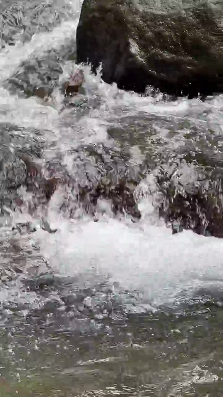 Acqua limpida che scorre sulle rocce in un ruscello di montagna