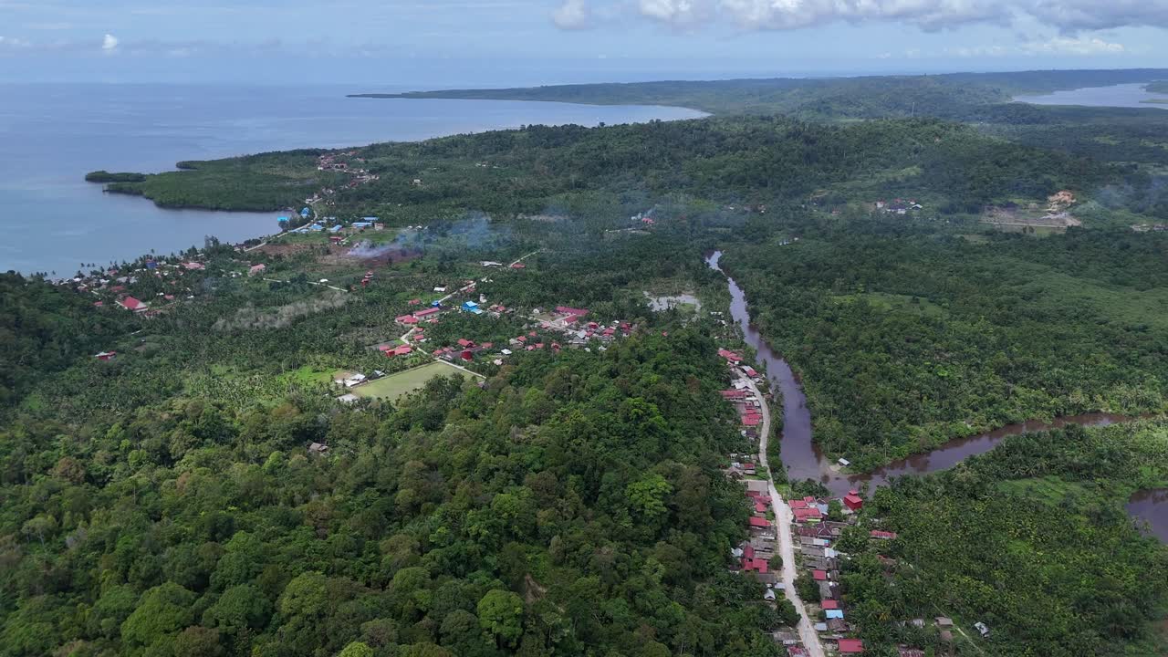 Drone aerial view of trees tropical rainforest jungle west sumatra river Mentawai Islands Regency indonesia