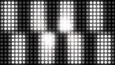 video generado digitalmente de un punto polar