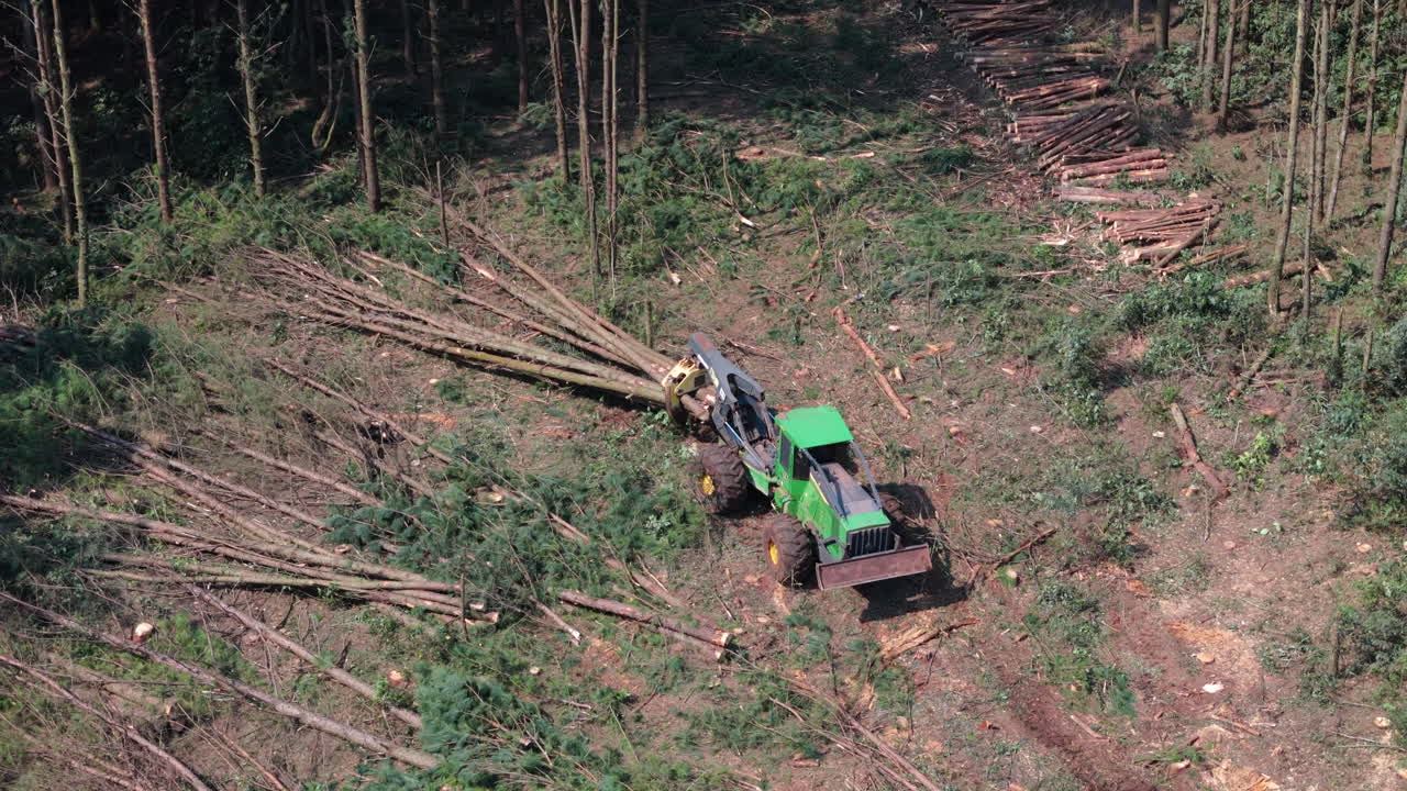 Aerial medium of harvester machine working in a pine forest, surrounded by felled trees and timber piles, crane arm drags trees
