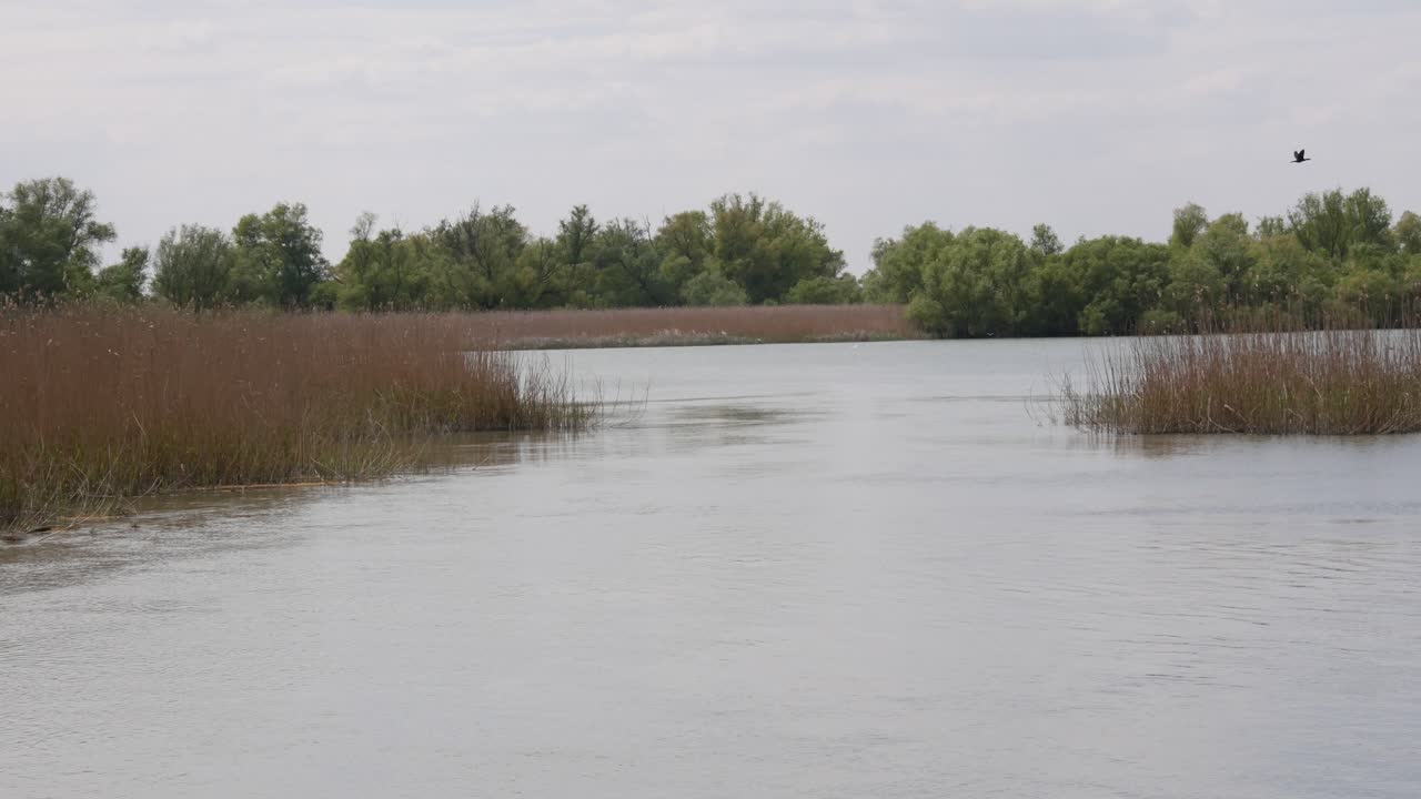 Donauflodens Deltas Naturreservat