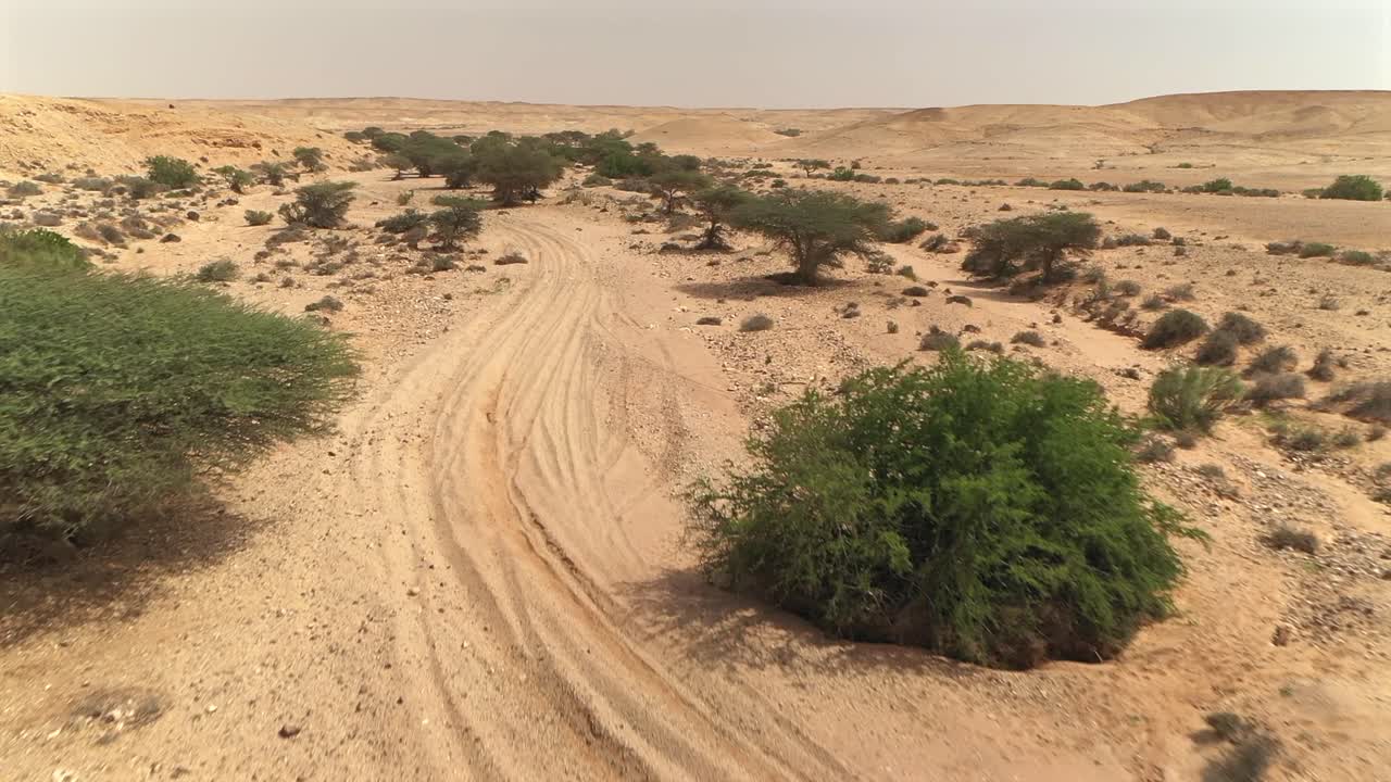 Drone flies low along sandy track through arid desert scrubland near Laayoune, Morocco, Africa, Adventure, road trip, exploration. Aerial forward