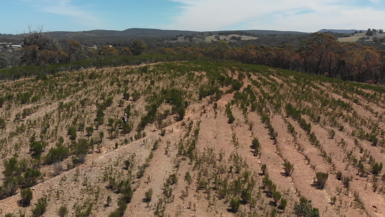 rotación aérea rápida alrededor de una chica con sombrero tomando fotografías en campos australianos desiertos