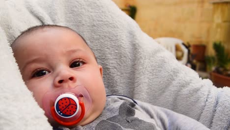 close up of cute baby sucking on a ladybug pacifier while watching the camera