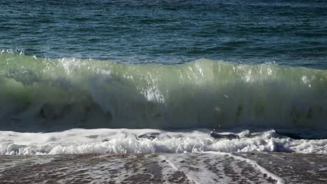 Close-up-of-the-waves-crashing-into-the-beach,-Rocky-Point,-Puerto-Peñasco,-Gulf-of-California,-Mexico