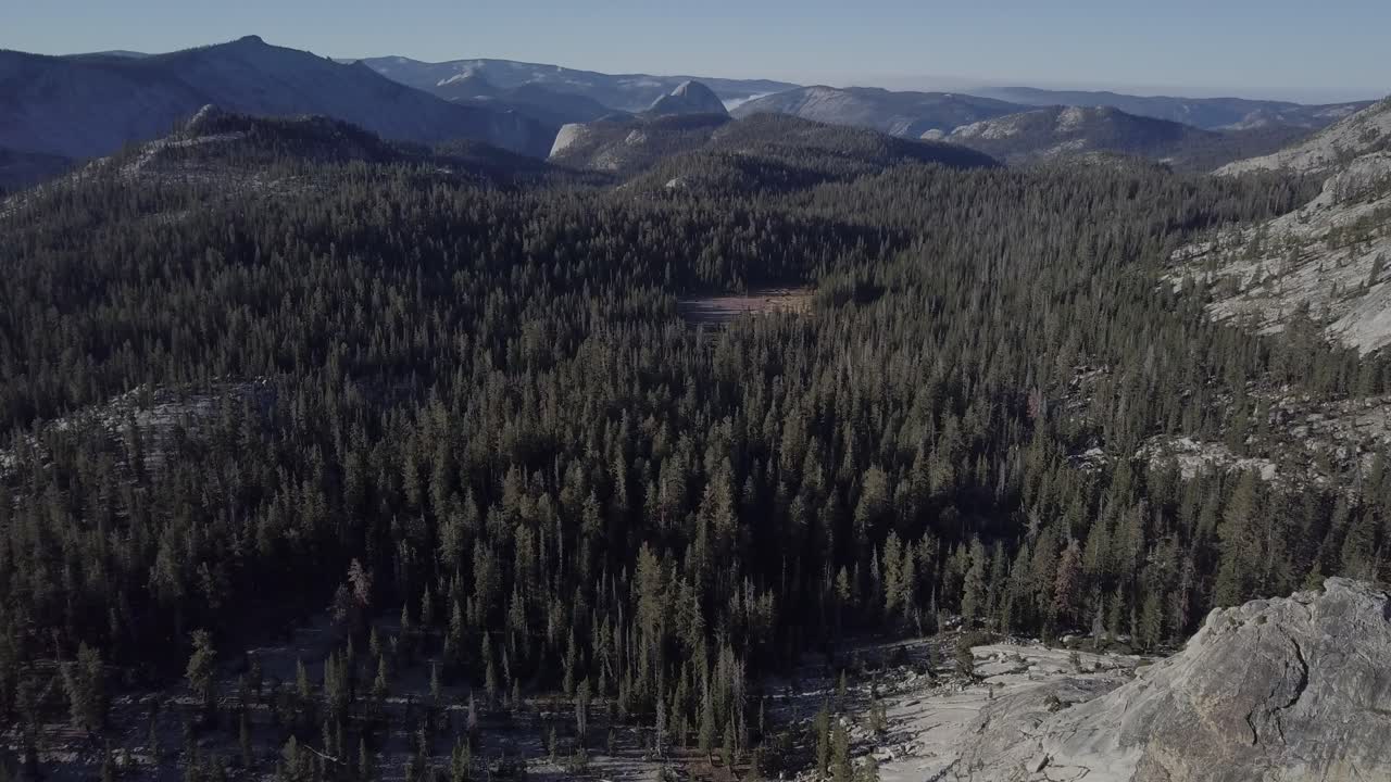 toma aérea de drones del bosque en el parque nacional de yosemite